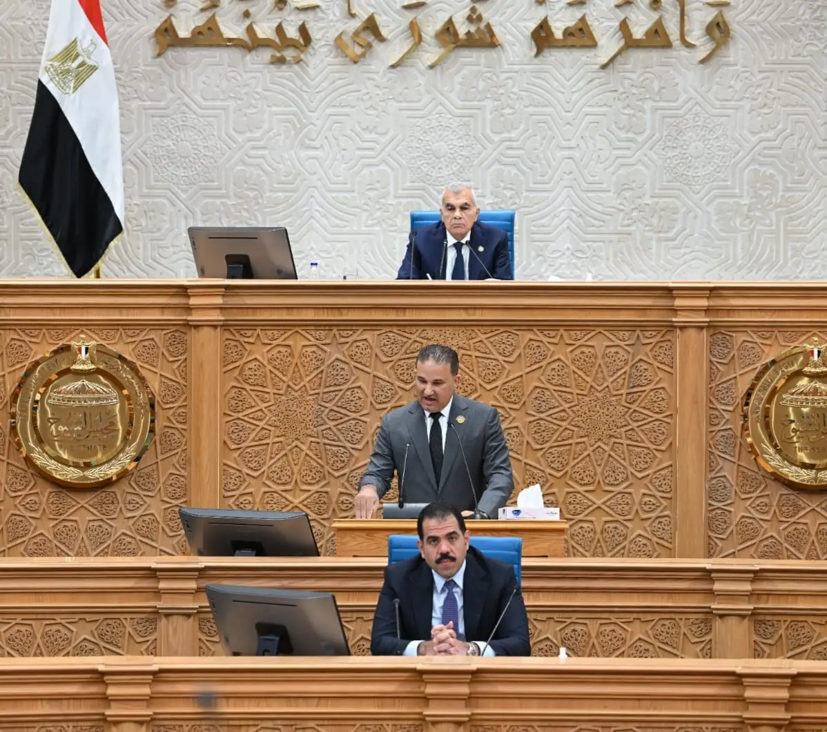 تامر عبد الحميد يستعرض طلب مناقشة بشأن ضبط الأسواق ومواجهة غلاء الأسعار