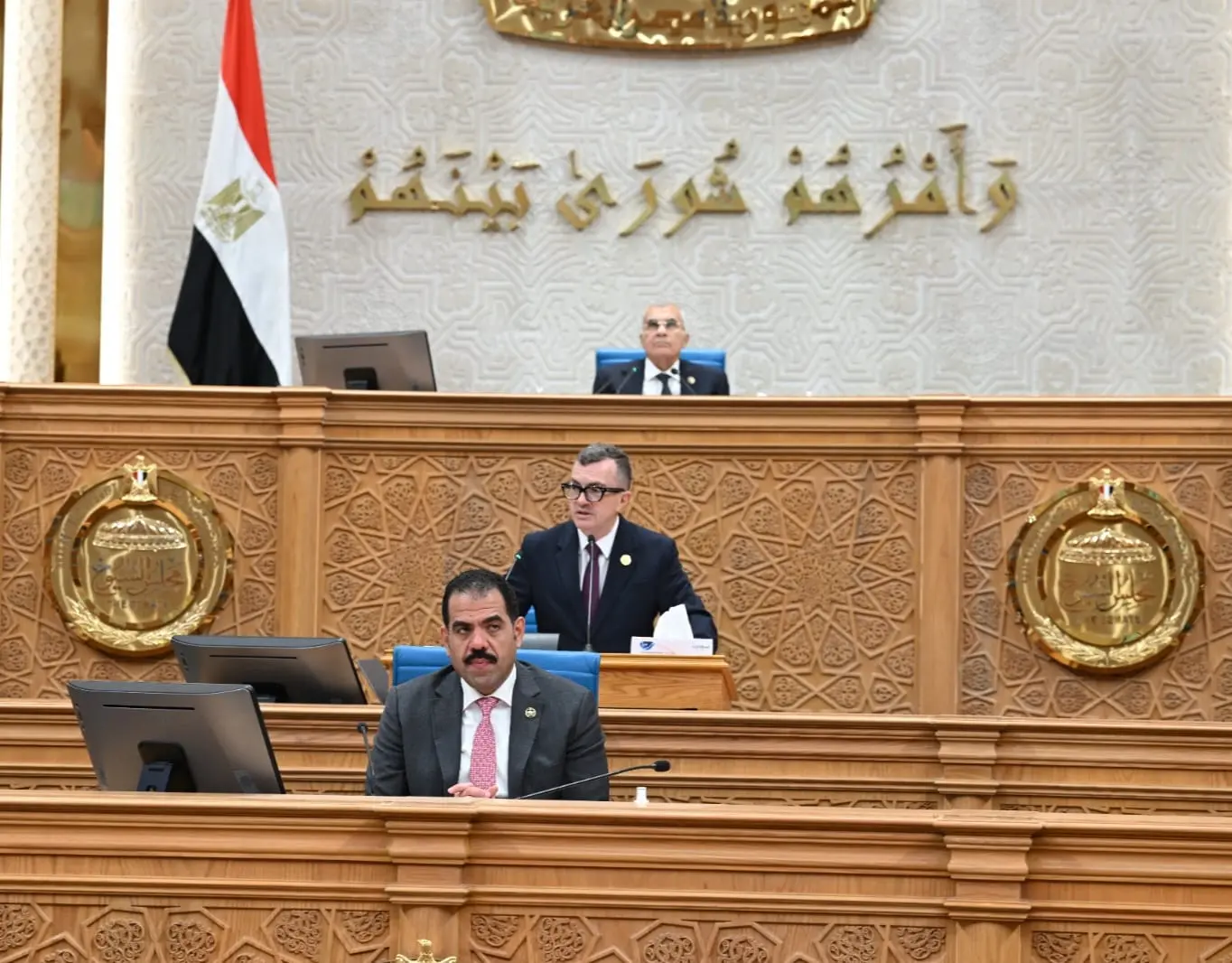 أحمد رستم أمام الشيوخ :  علينا أن نتعلم من أخطاء الماضي.. وخطة لإعادة هيكلة بنك الاستثمار القومي قبل نهاية العام المالي