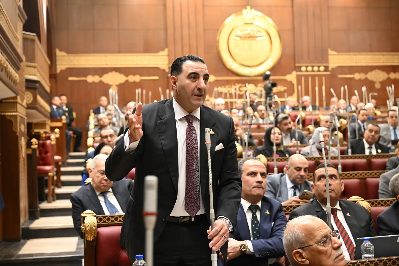 "رئيس برلمانية المؤتمر بالشيوخ": الوعي وبناء الإنسان في مقدمة أولويات الحزب بالمرحلة المقبلة