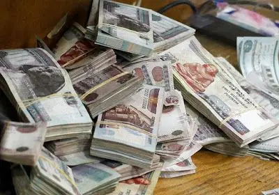 تفاصيل منحة المولد النبوي للعمالة غير المنتظمة..تعرف عليها