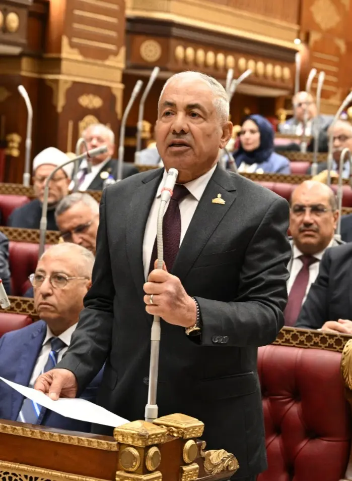 أعضاء بمجلس الشيوخ يرفضون خطة التنمية الاقتصادية والإجتماعية: الأرقام لاتعكس الواقع - b6e23622 ac06 4788 839f f8c793e7bb83 1
