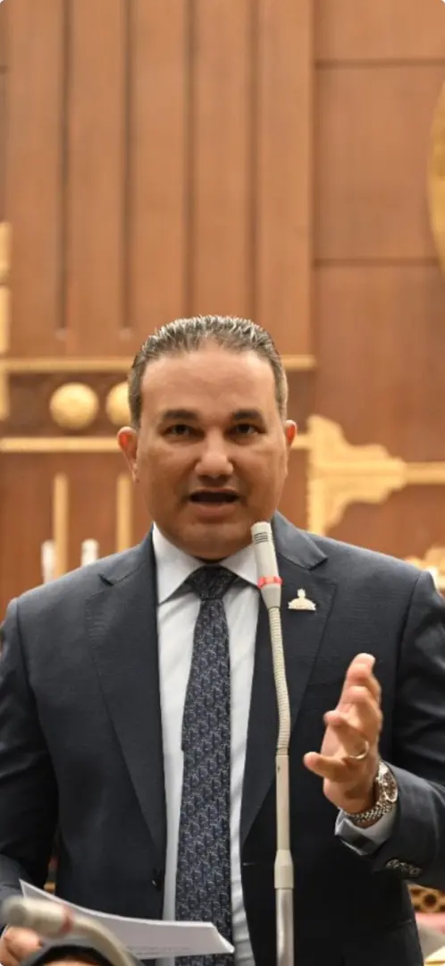 برلماني: دعم التصنيع المحلي وتوفير بيئة جاذبة للاستثمار يفتحان آفاقًا جديدة أمام البراندات المصرية