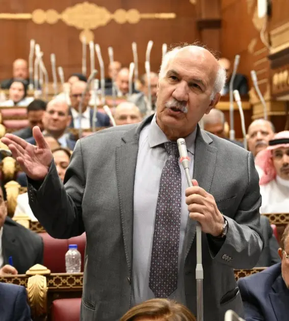 رئيس برلمانية التجمع بمجلس الشيوخ يرفض خطة التنمية الاقتصادية : "خطة مأزق ولم تتضمن التحول من الدعم العيني إلى النقدي"