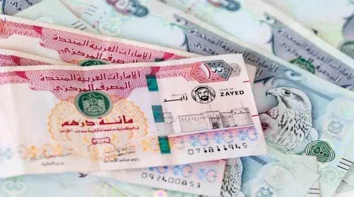 سعر الدرهم الإماراتي مقابل الجنيه المصري اليوم