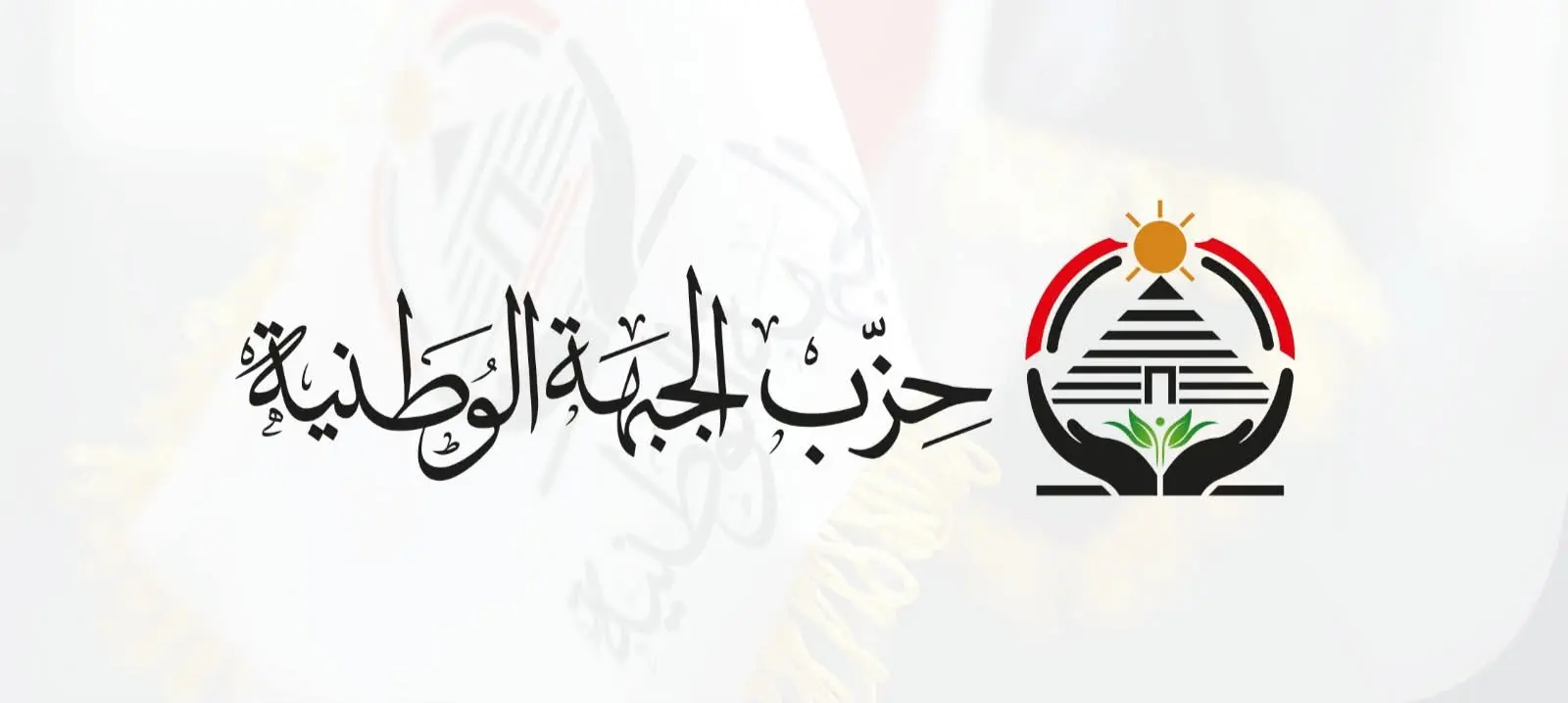 “الجبهة الوطنية” يقرر فصل أمين الحزب بمركز الفتح في أسيوط