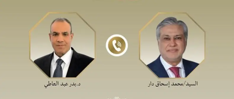 وزيرا الخارجية المصري والباكستاني يبحثان المستجدات في غزة والتطورات الإقليمية
