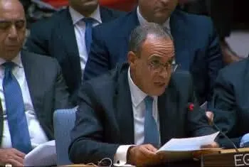وزير الخارجية يؤكد على ثوابت الموقف المصري تجاه القضية الفلسطينية