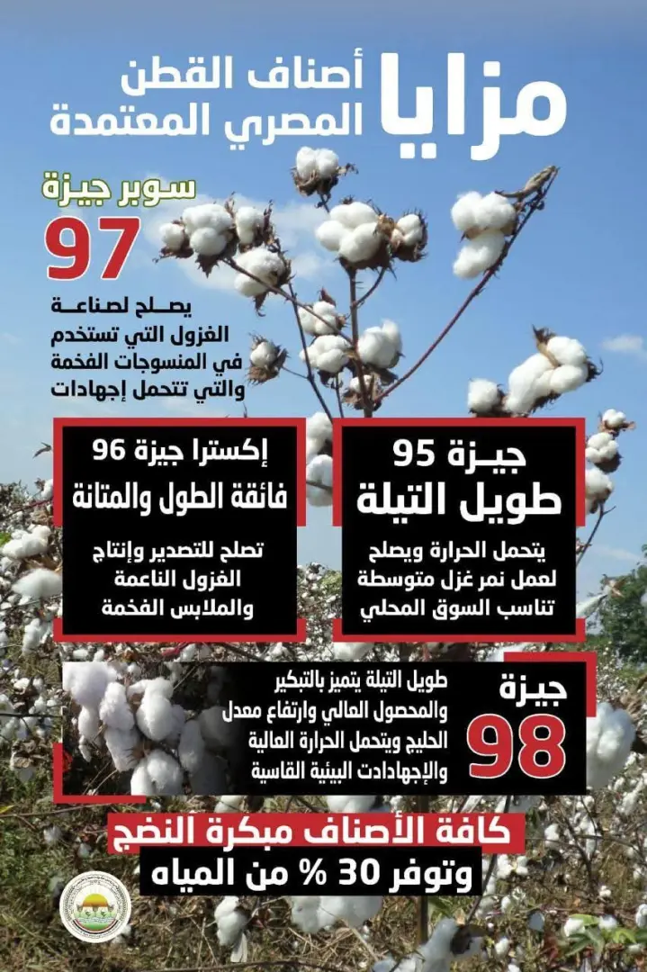 مبكرة النضج وموفرة للمياه.. "الزراعة" تعلن خريطة أصناف القطن المعتمدة لموسم 2026 - fb img 1772354671165