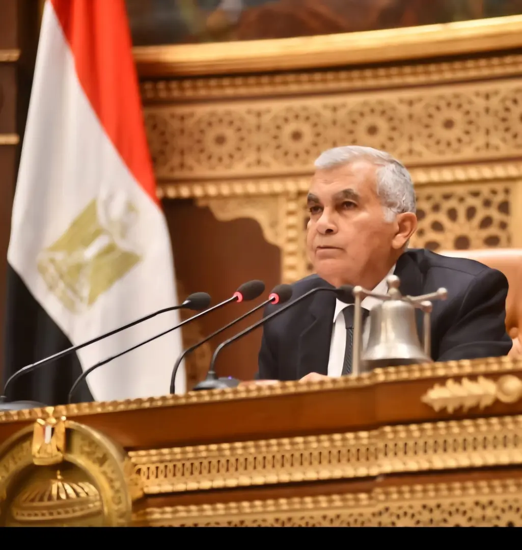 مجلس الشيوخ يؤكد دعمه الكامل للدولة في مواجهة التحديات الإقليمية ويشيد بجهود القيادة السياسية