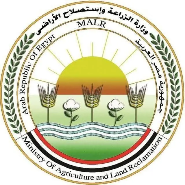 "الزراعة" تطلق الحملة القومية الأولى لعام 2026 للتحصين ضد الجلد العقدي في الأبقار وجدري الأغنام لمدة شهر