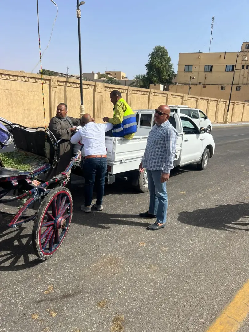 "لا تهاون مع العشوائية".. حملات مكبرة لضبط "حناطير" الأقصر المخالفة وإلزامها بـ “الحفاضات” - fb img 1775140469918