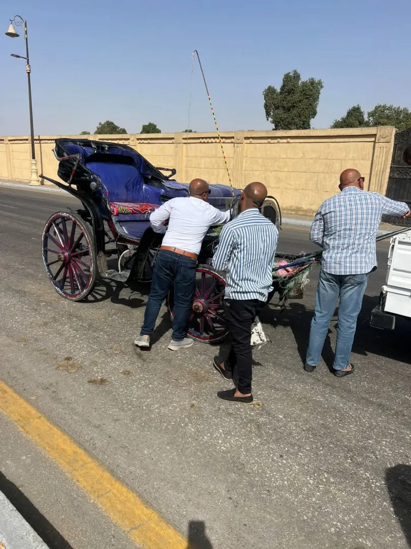 "لا تهاون مع العشوائية".. حملات مكبرة لضبط "حناطير" الأقصر المخالفة وإلزامها بـ “الحفاضات” - fb img 1775140475519