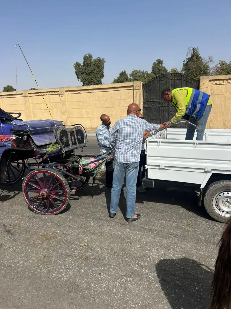 "لا تهاون مع العشوائية".. حملات مكبرة لضبط "حناطير" الأقصر المخالفة وإلزامها بـ “الحفاضات” - fb img 1775140478422