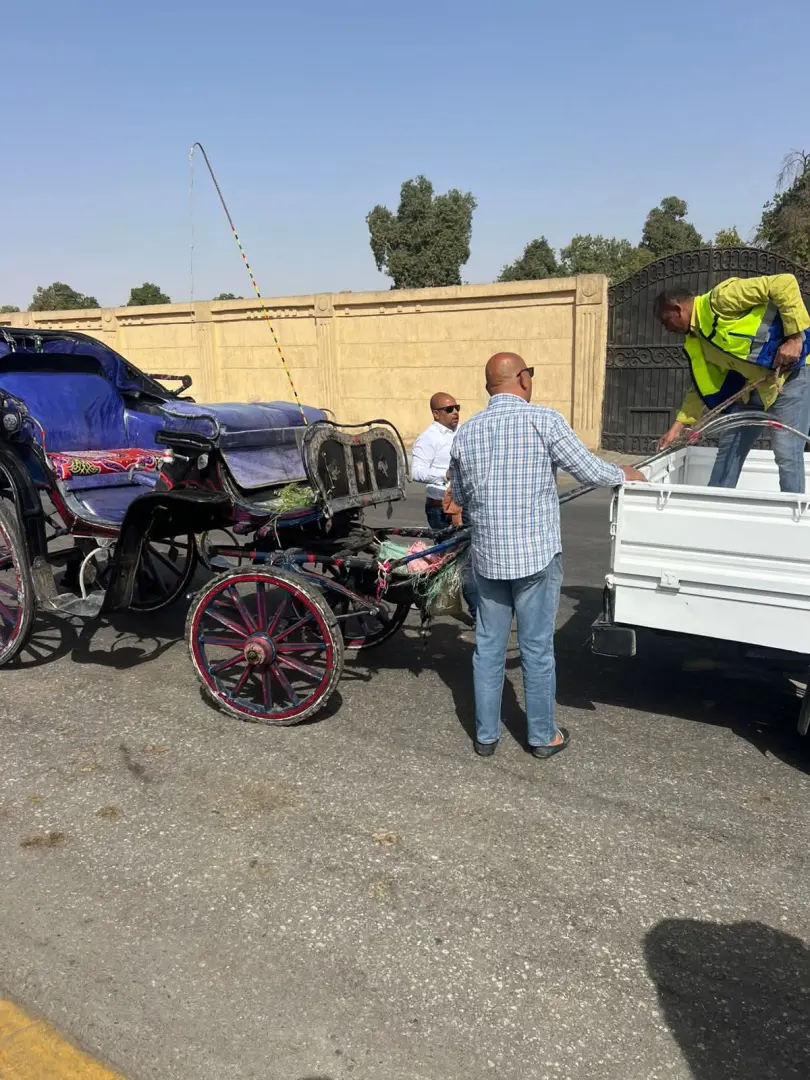"لا تهاون مع العشوائية".. حملات مكبرة لضبط "حناطير" الأقصر المخالفة وإلزامها بـ “الحفاضات” - fb img 1775140483147