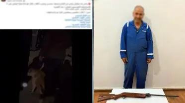 حقيقة فيديو التعدي على الكلاب الضالة بالإسماعيلية.. المتهم: استخدمت “بندقية رش” لتفريقها دون إصابتها