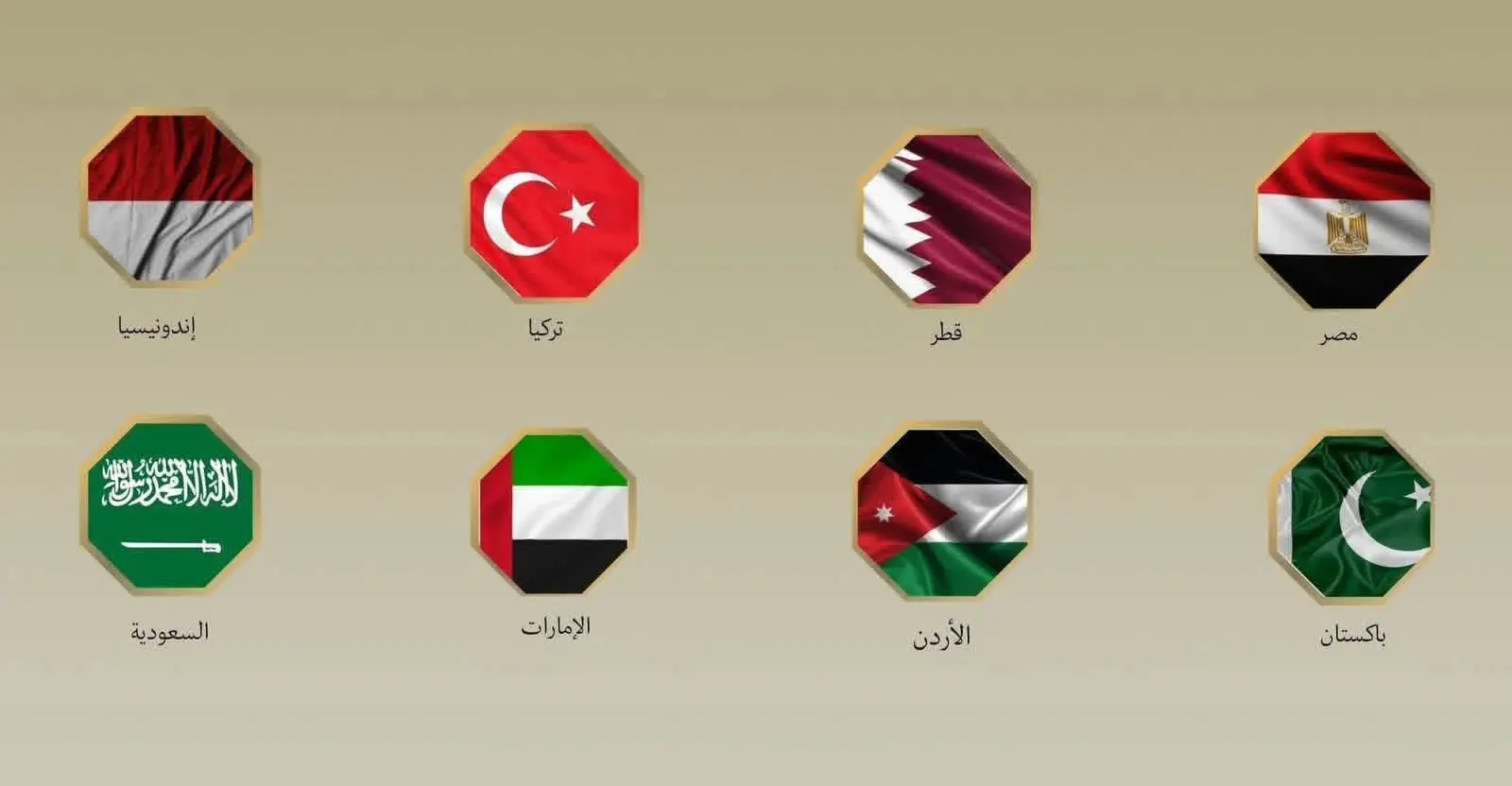 بيان مشترك لوزراء خارجية مصر و 7 دول يدين ممارسات بن غفير بحق المشاركين في أسطول غزة