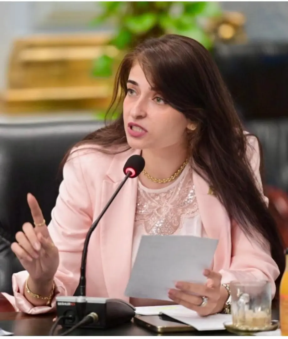 طلب إحاطة لوزير الصحة لكشف ملابسات وفاة طفل الدقهلية بعد اختناقه بحبة فول سوداني