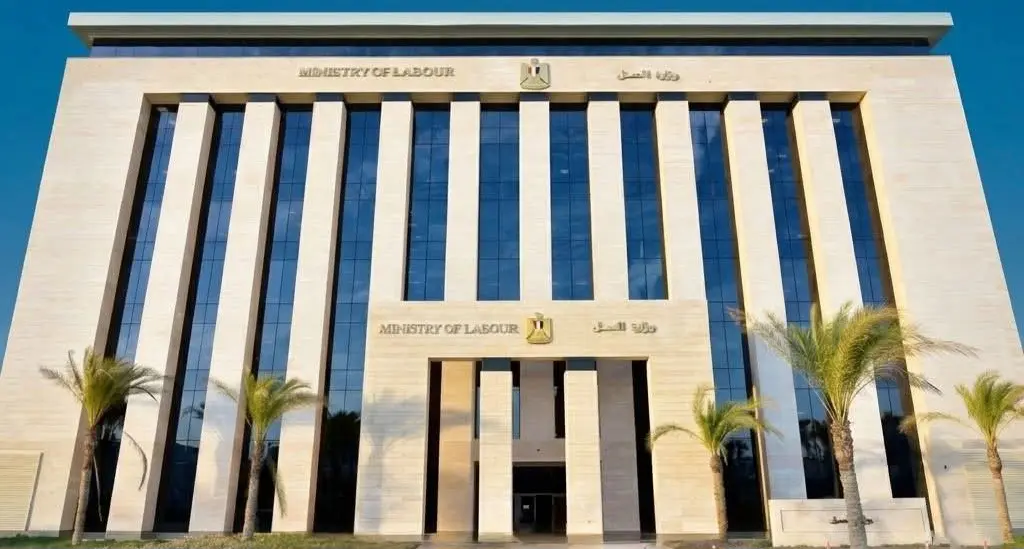 رابط التقديم.. فرص عمل جديدة للمصريين بالخارج براتب يصل إلى 1130 دولارًا