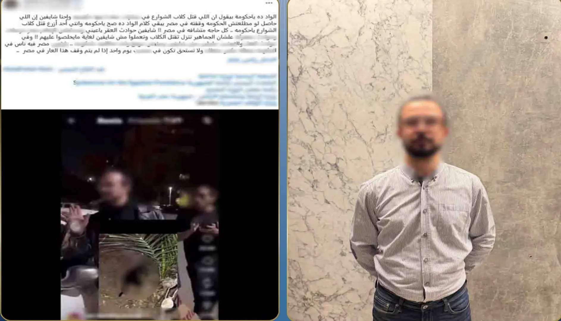 حقيقة واقعة تسميم الكلاب الضالة في مدينة نصر.. المتهم يكشف التفاصيل