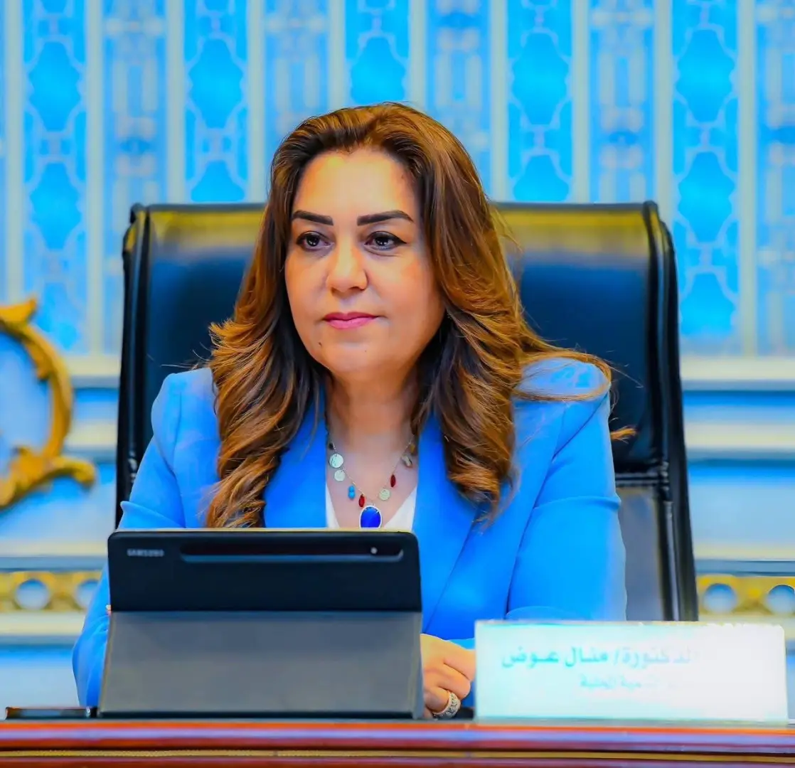 «رؤى محلية».. أول منصة علمية محكمة لأبحاث التنمية المحلية والبيئة في مصر