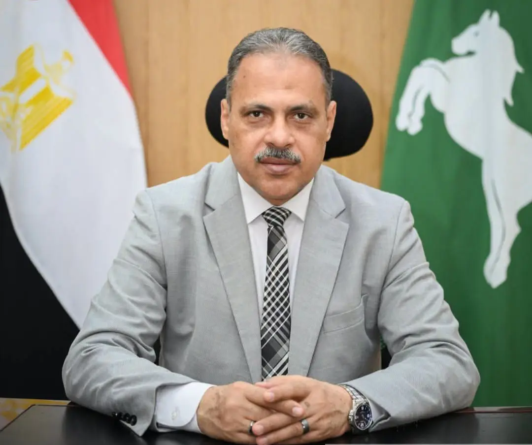 محافظ الشرقية يتدخل سريعًا بعد رصد هبوط بكوبري المشروع.. ماذا يحدث؟