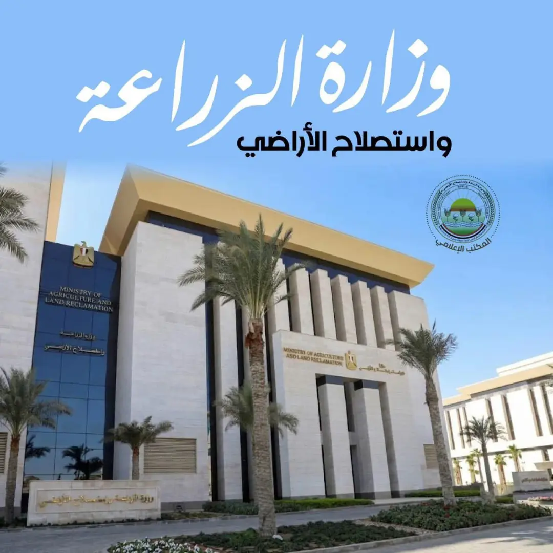 الزراعة تُطلق غداً..الحملة القومية الثانية لتحصين الماشية ضد مرضي الحمى القلاعية وحمى الوادي المتصدع