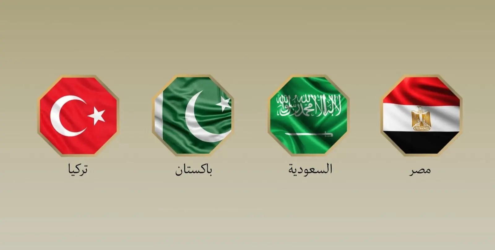 مصر والسعودية وتركيا وباكستان تؤكد دعمها لقيام دولة فلسطينية مستقلة