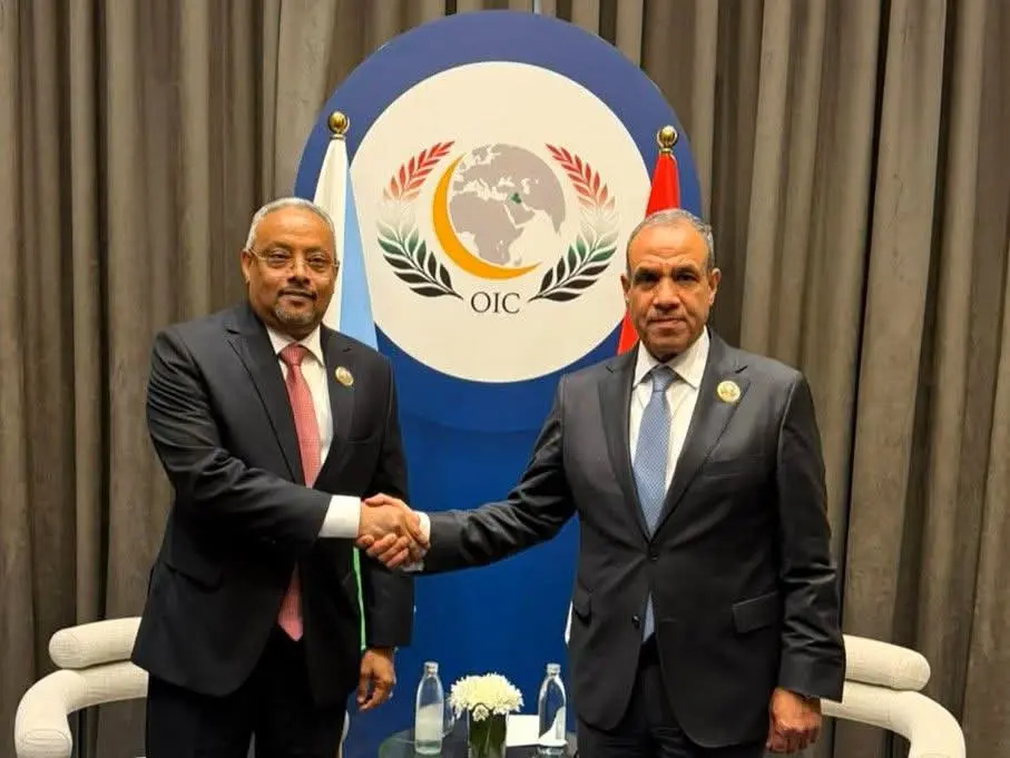 وزير الخارجية يبحث مع نظيره الجيبوتي تعزيز التعاون الاقتصادي وأمن البحر الأحمر