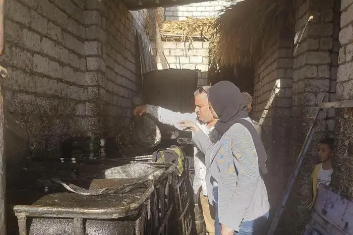 ضبط 2500 لتر زيوت سيارات مستعملة قبل إعادة تدويرها وطرحها بالأسواق في المنيا