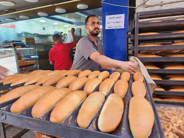 لو السعر زاد.. طرق الإبلاغ عن مخالفات الخبز السياحي والفينو