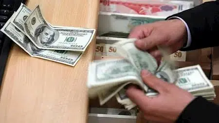تحويلات المصريين بالخارج تقفز إلى 29.4 مليار دولار خلال 8 أشهر بنمو 28%