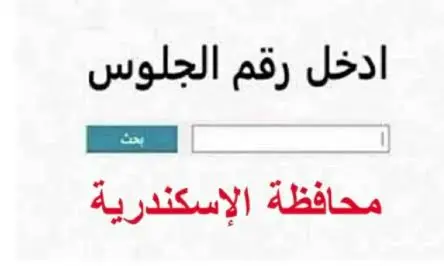 استعلم الآن.. نتيجة الشهادة الإعدادية بالإسكندرية 2026 برقم الجلوس