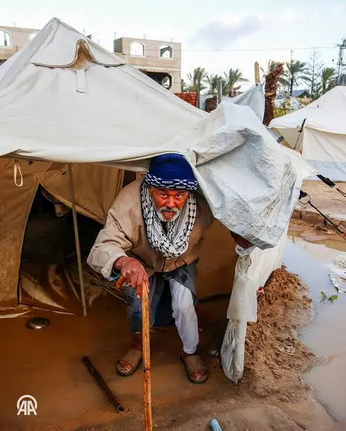 اللجنة المصرية لدعم غزة تواصل إغاثة الأسر المتضررة وتركيب الخيام