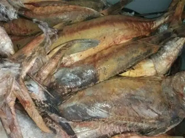 ضبط 1.5 طن رنجة فاسدة داخل مصنع غير مرخص بالغربية
