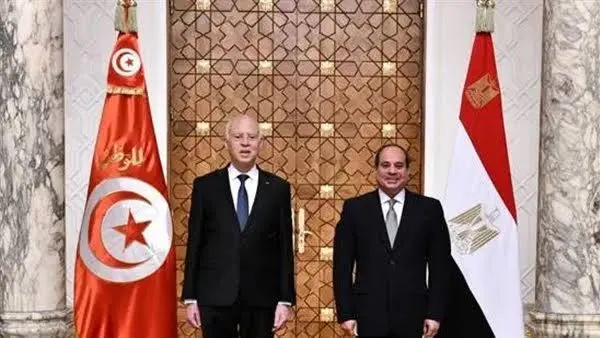 السيسي يؤكد استعداد مصر لدعم تونس في مواجهة حرائق الغابات