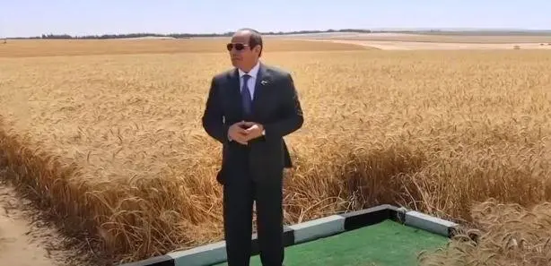 في ذكرى 30 يونيو.. كيف أحدث السيسي ثورة في الزراعة والأمن الغذائي خلال 12 عامًا؟