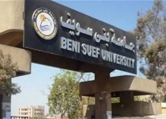ننشر السيرة الذاتية للدكتور عبد العزيز قنصوة وزير التعليم العالي الجديد