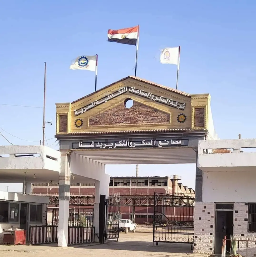 سكر دشنا: سحب جميع جرارات وعربات القصب غدًا الثلاثاء تزامنًا مع انتهاء موسم العصير