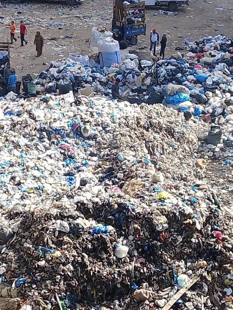 استجابة لشكاوى المواطنين.. محافظة الإسكندرية تزيل ٤ بؤر فرز المخلفات بأراضي فضاء داخل الكتل السكنية