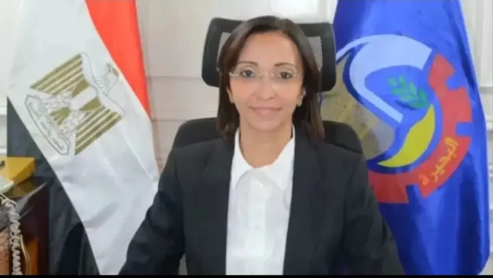 «بوابة خدمات المحليات».. نقلة نوعية لتيسير الخدمات الحكومية والتحول الرقمي بالبحيرة