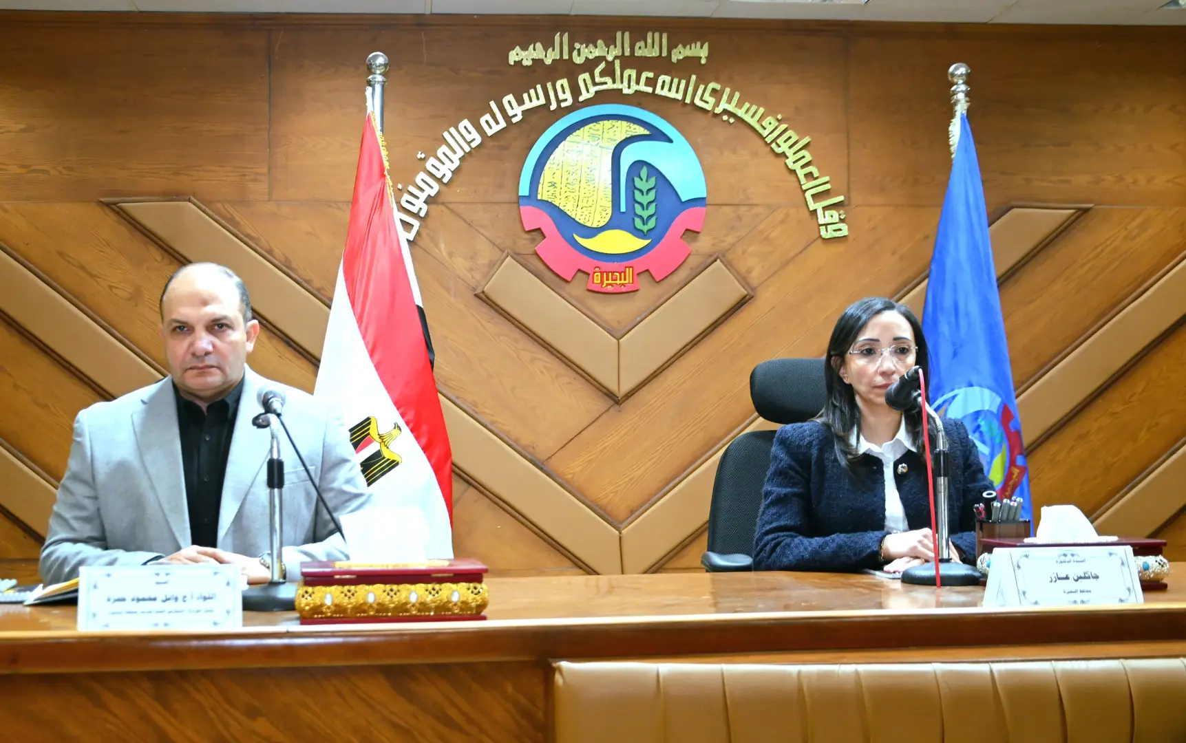 البحيرة تواصل العمل عن بُعد لترشيد الكهرباء