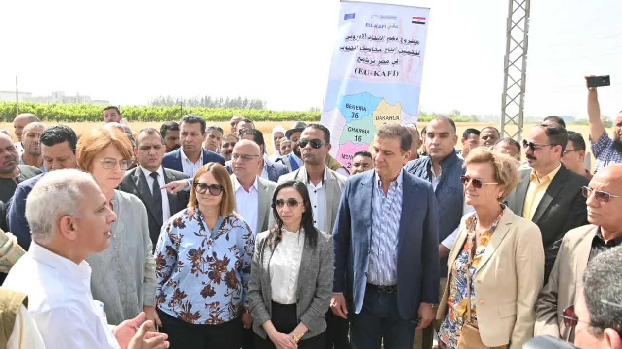 حصاد الذهب بالبحيرة.. القمح يحقق طفرة إنتاجية بدعم أوروبي وميكنة حديثة - img 20260511 wa0060