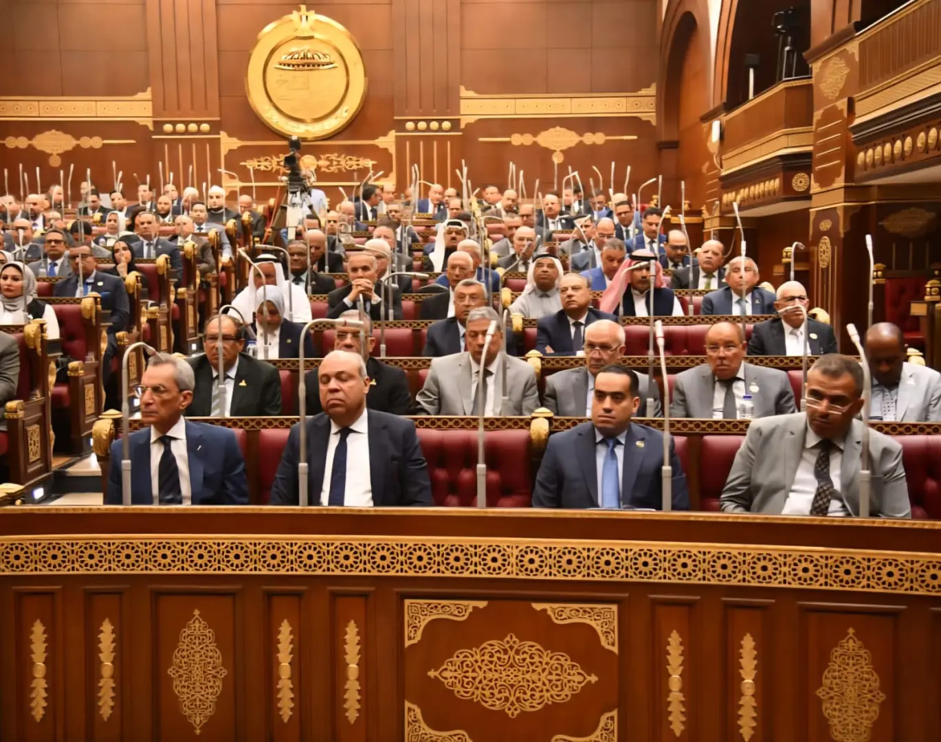 مجلس الشيوخ يرفض رفع الحصانة عن النائب محمد مصطفى لطفي
