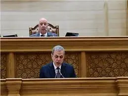 رئيس لجنة القوى بمجلس النواب يكشف تفاصيل جديدة بشأن أصحاب المعاشات