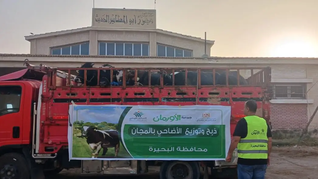 غدًا.. نحر 75 عجلا فى مجزر أبو المطامير بالبحيرة وتوزيعها على الأسر الأكثر إحتياجًا