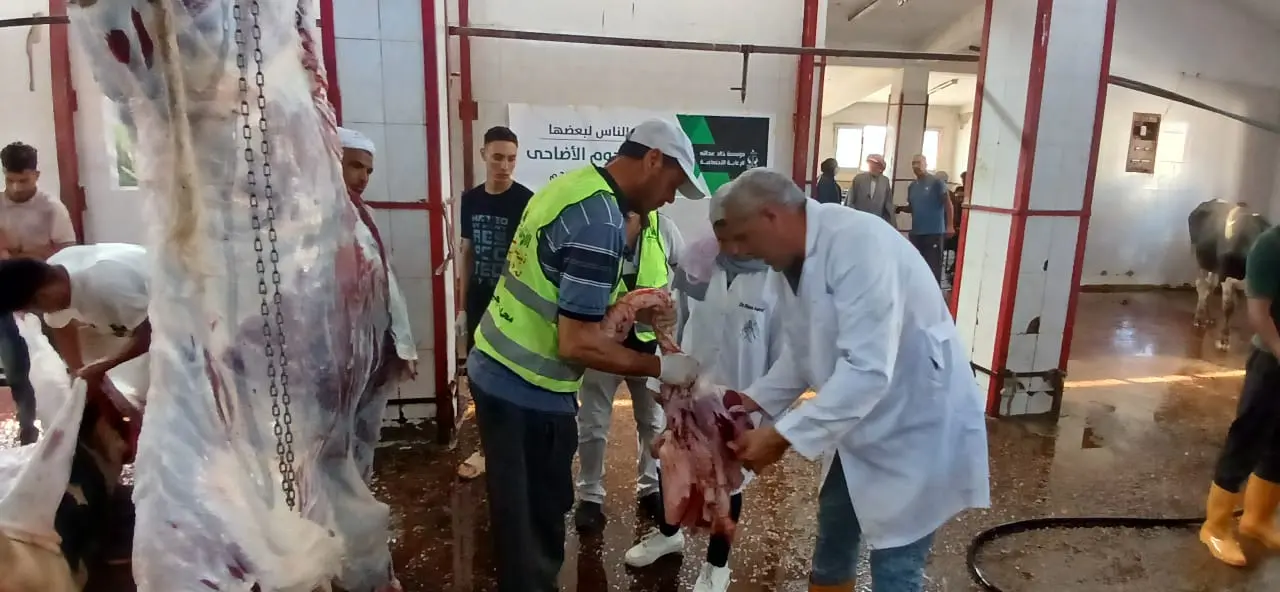 بيطري البحيرة: ذبح أكثر من 4500 أضحية بالمجازر الحكومية خلال عيد الأضحى المبارك