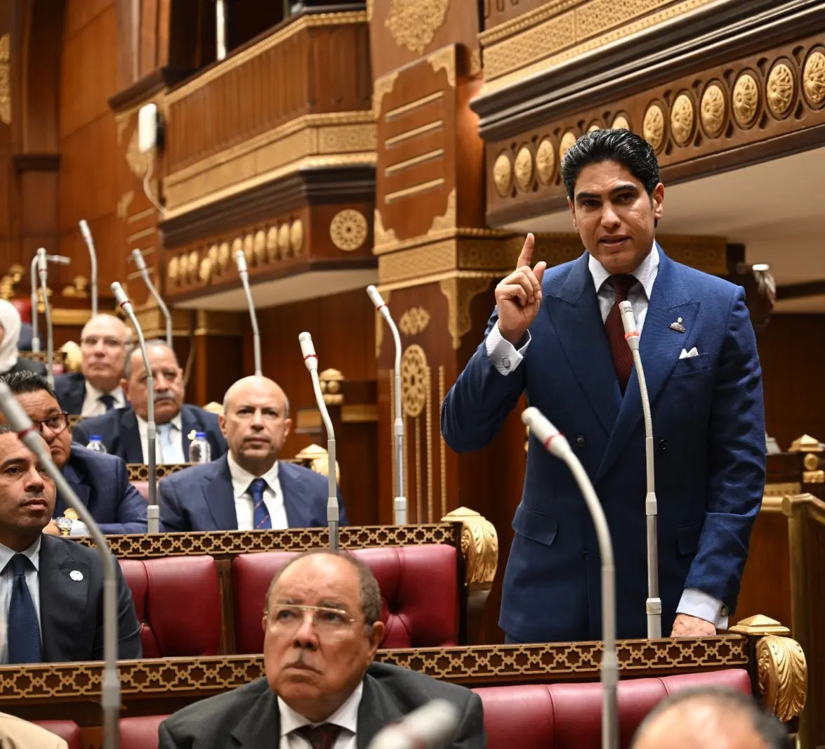 مجلس الشيوخ يوصي بتحديث قانون الشركات لتعزيز الاستثمار والحوكمة وحماية حقوق المساهمين
