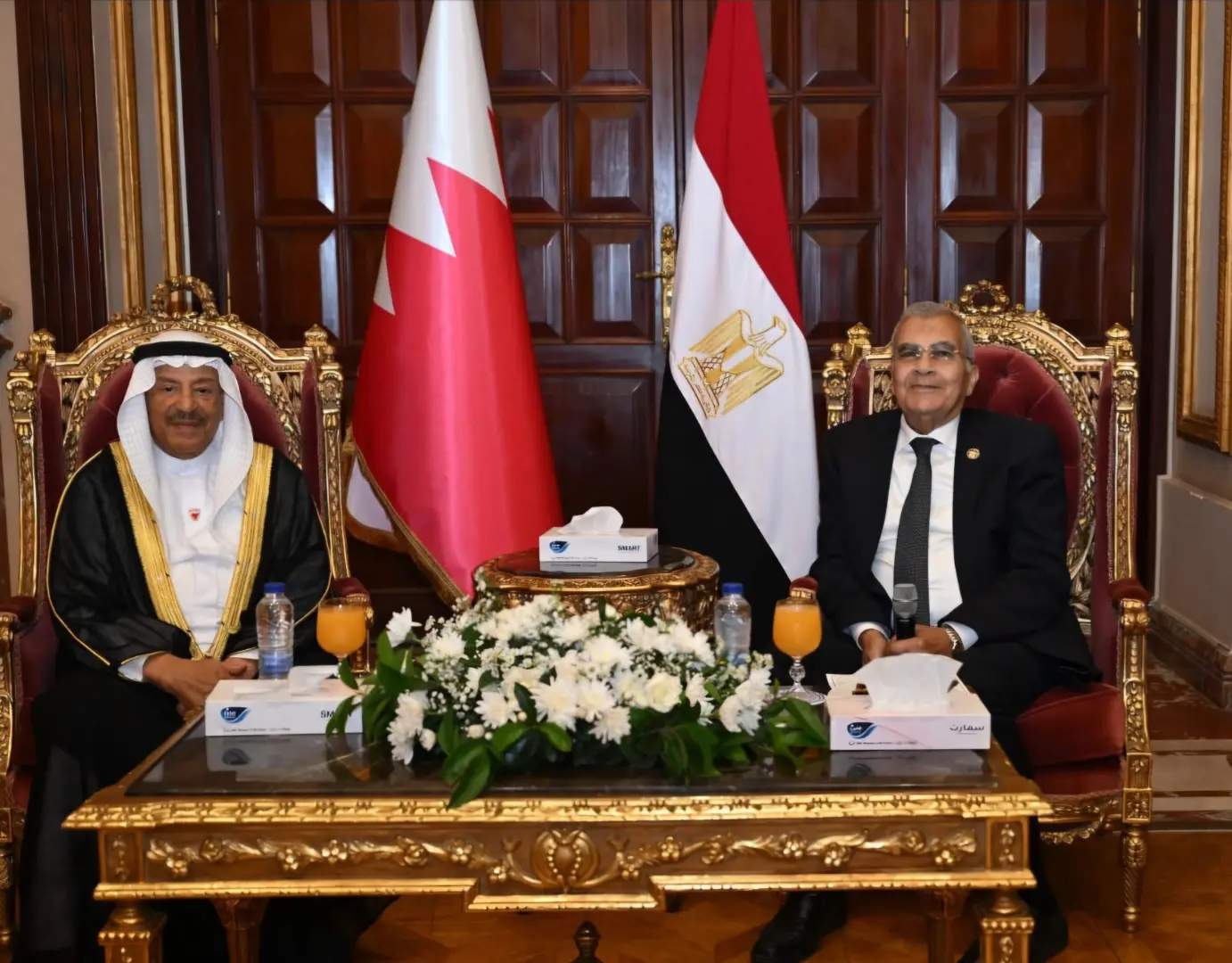 رئيس مجلس الشيوخ: مصر تؤكد  وقوفها إلى جانب البحرين في مواجهة كل ما يهدد أمنها واستقرارها
