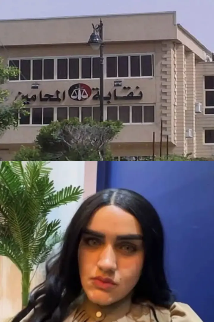نقابة المحامين تتحرك قانونيًا ضد مروجي الشائعات في أزمة لؤه خلف