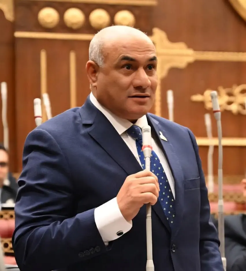 النائب شعبان رأفت يقترح  انشاء منصة إلكترونية لمتابعة تصدير المنتجات المصرية